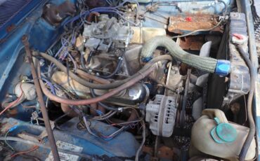 Plymouth-svamp-1975-blue-12