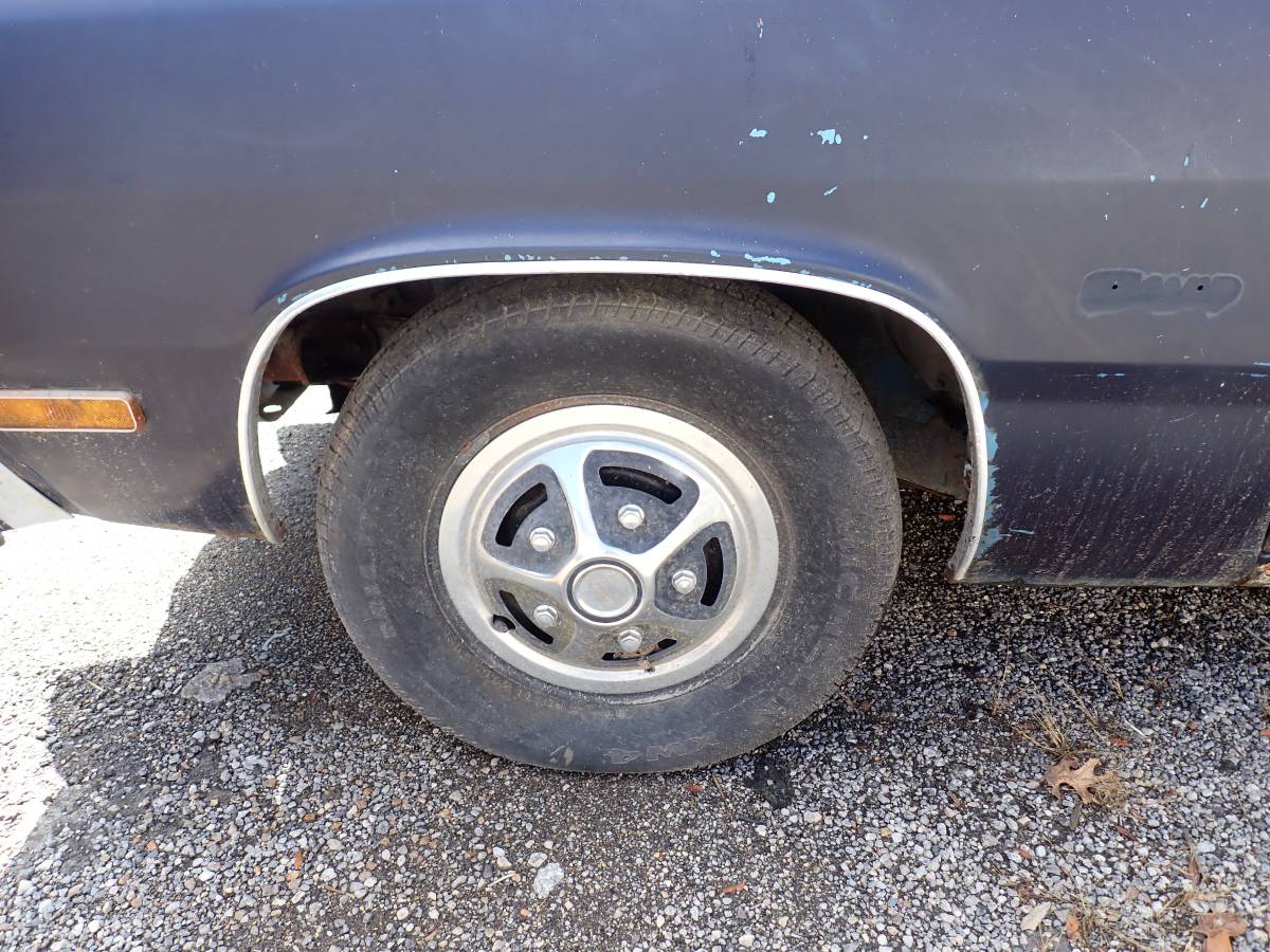 Plymouth-svamp-1975-blue-13