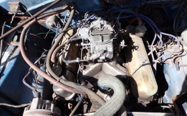 Plymouth-svamp-1975-blue-15