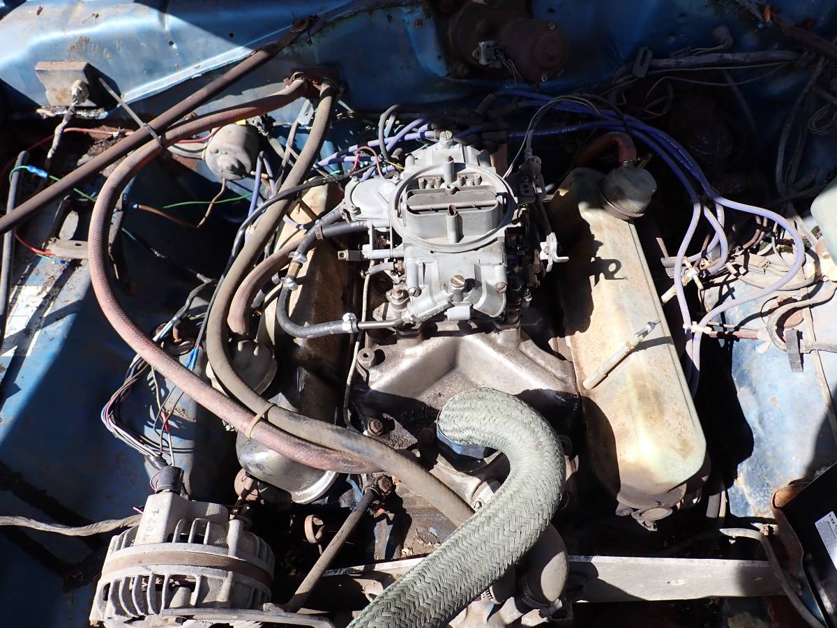 Plymouth-svamp-1975-blue-15