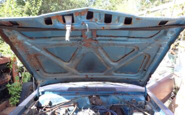 Plymouth-svamp-1975-blue-17