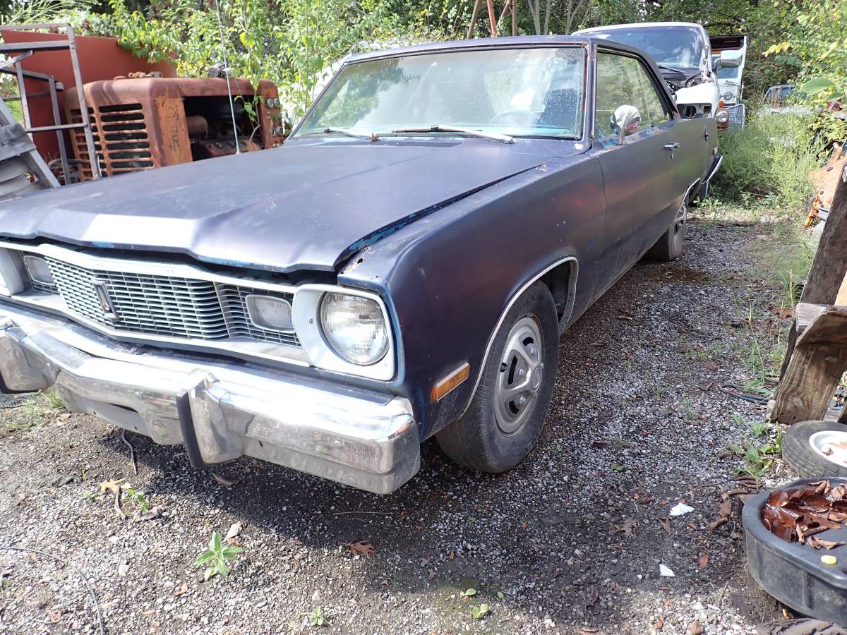 Plymouth-svamp-1975-blue-21