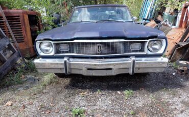 Plymouth-svamp-1975-blue-22