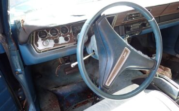 Plymouth-svamp-1975-blue