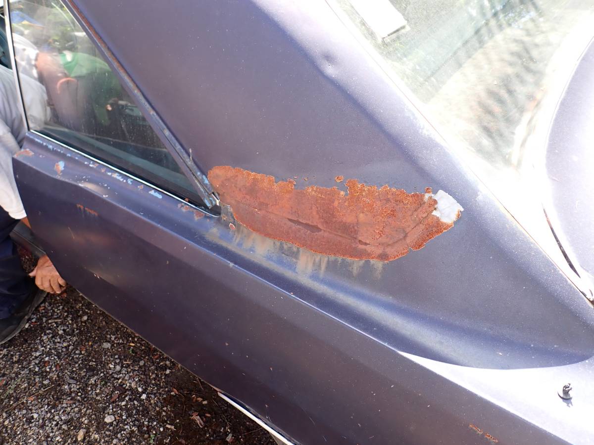 Plymouth-svamp-1975-blue-7