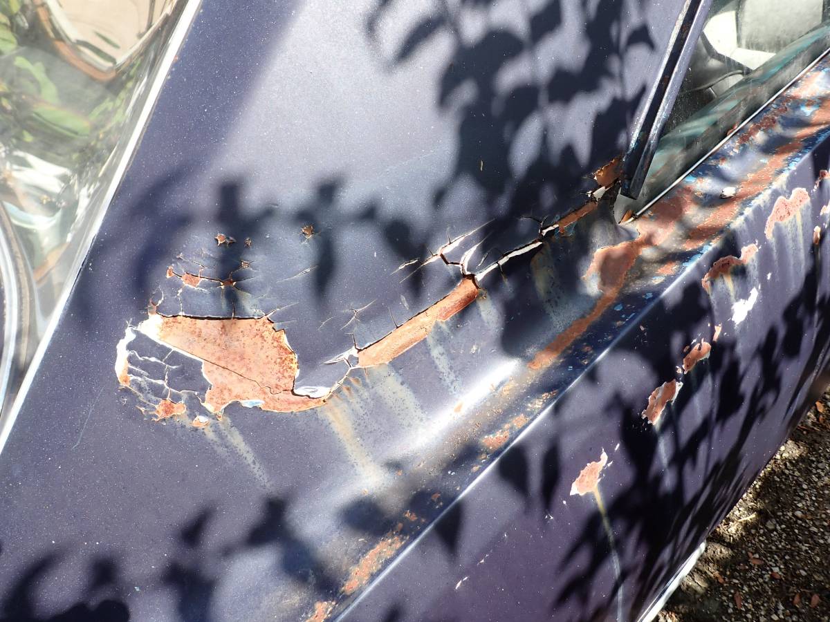 Plymouth-svamp-1975-blue-9