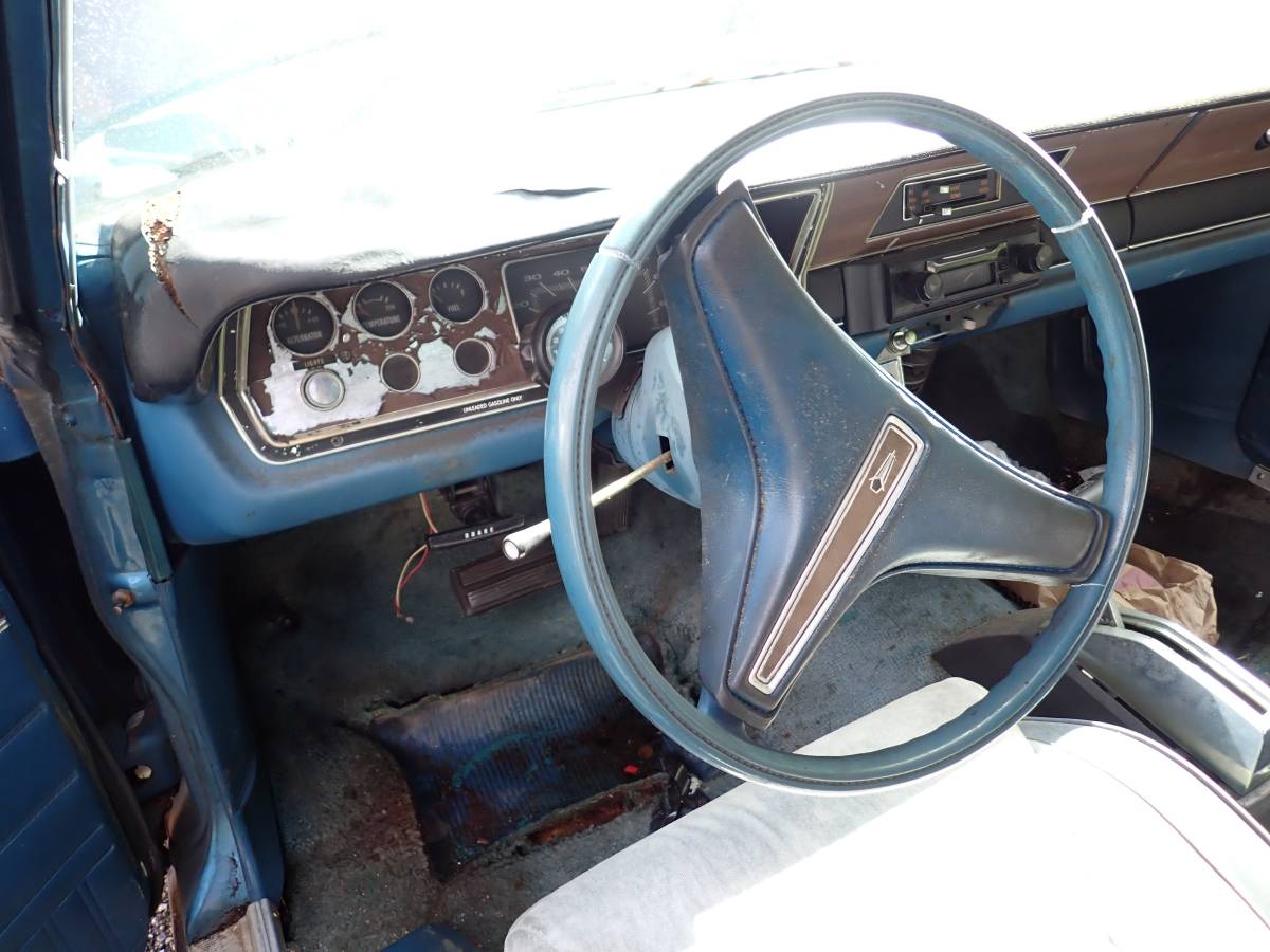 Plymouth-svamp-1975-blue