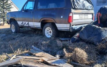 Plymouth-trailduster-1979-brown-1