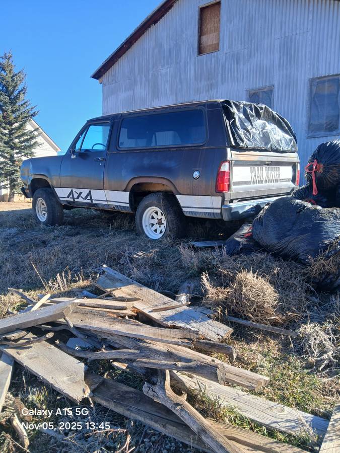 Plymouth-trailduster-1979-brown-1
