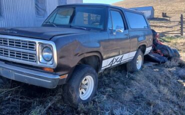 Plymouth-trailduster-1979-brown-10