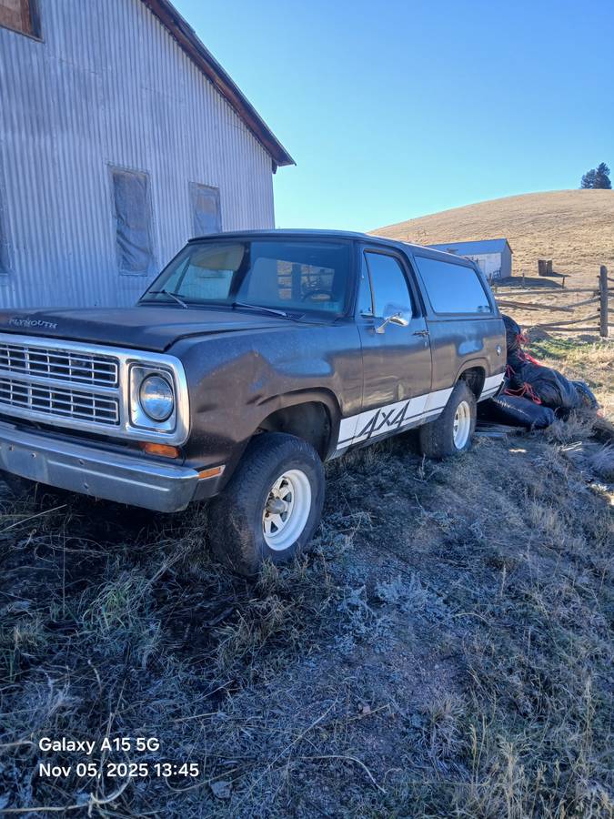 Plymouth-trailduster-1979-brown-10