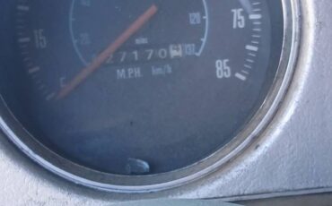 Plymouth-trailduster-1979-brown-13