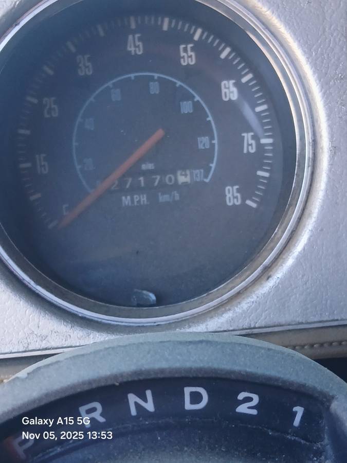 Plymouth-trailduster-1979-brown-13