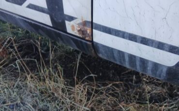 Plymouth-trailduster-1979-brown-2