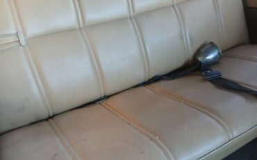 Plymouth-trailduster-1979-brown-4