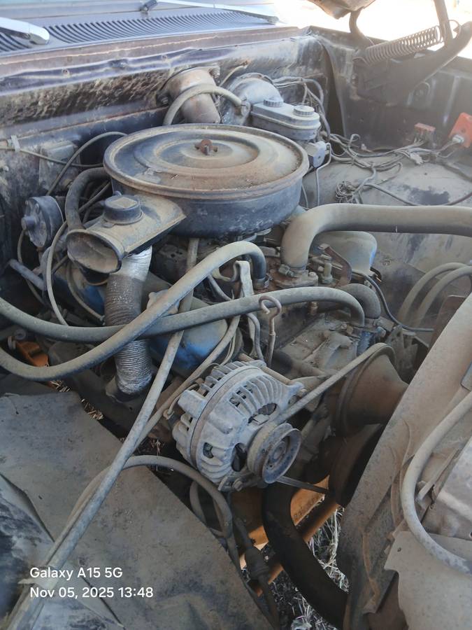 Plymouth-trailduster-1979-brown-5