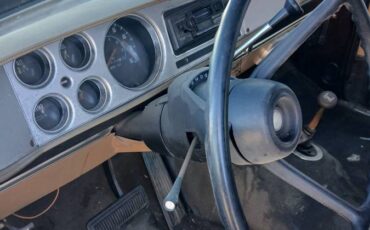 Plymouth-trailduster-1979-brown-7