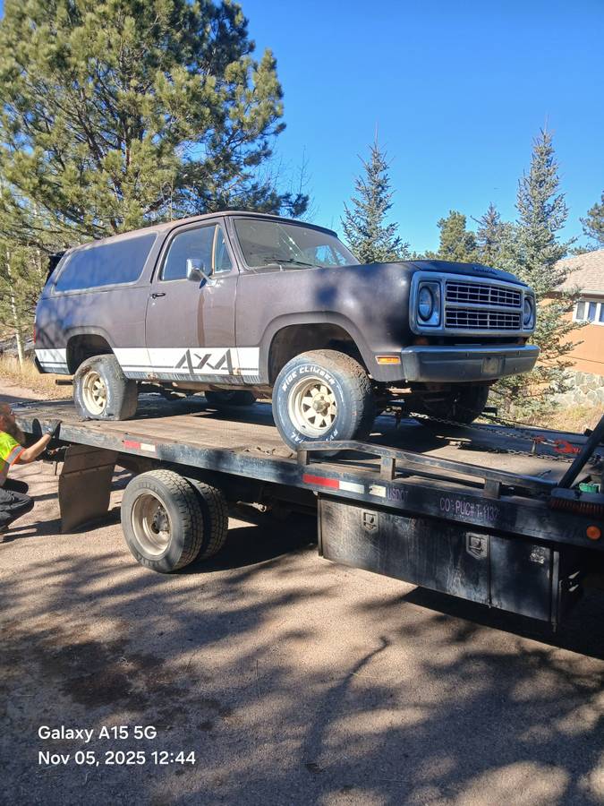 Plymouth-trailduster-1979-brown-8