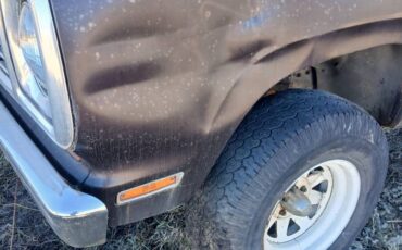 Plymouth-trailduster-1979-brown-9