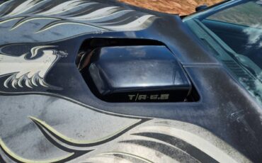 Pontaic-trans-am-1978-black-4