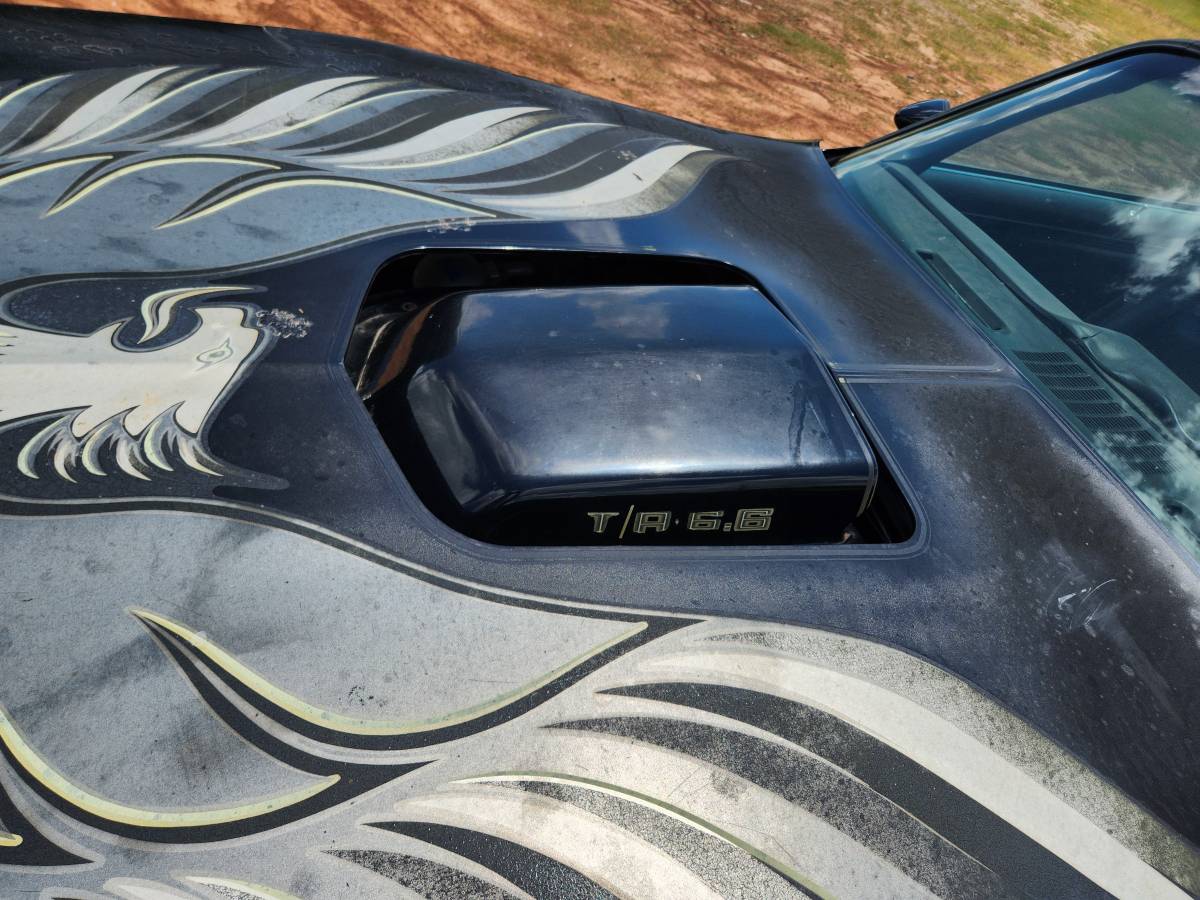 Pontaic-trans-am-1978-black-4