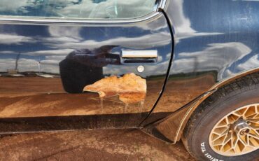 Pontaic-trans-am-1978-black-7