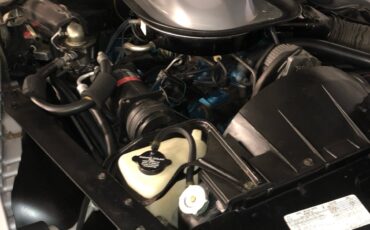 Pontiac-Firebird-1975-Coupe-20