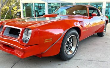 Pontiac-Firebird-1976-Coupe-11