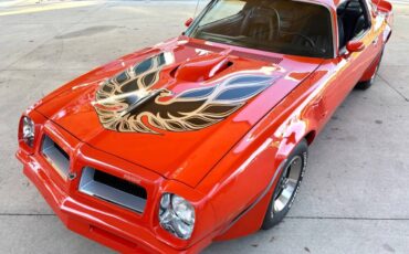 Pontiac-Firebird-1976-Coupe-19