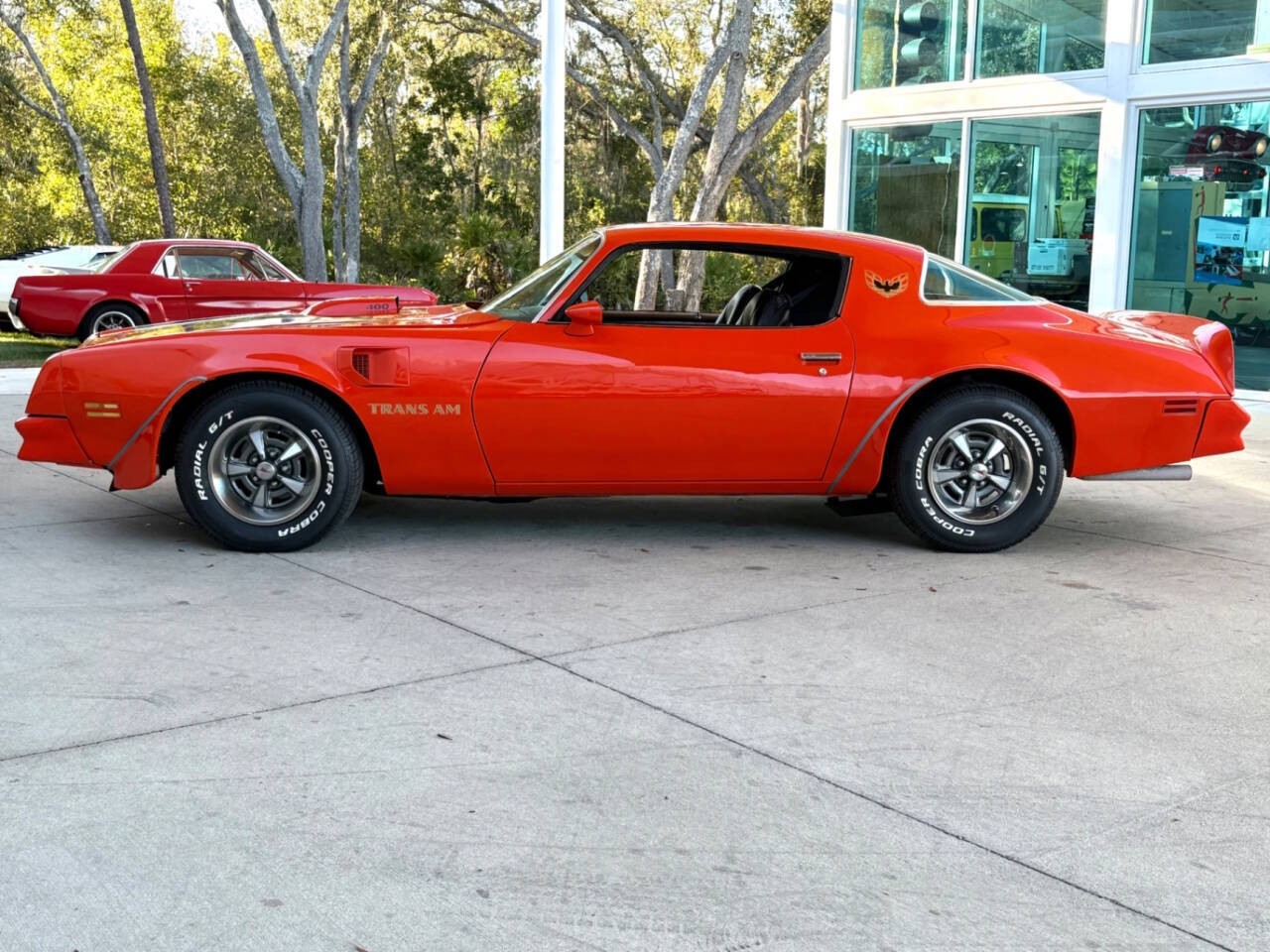 Pontiac-Firebird-1976-Coupe-9