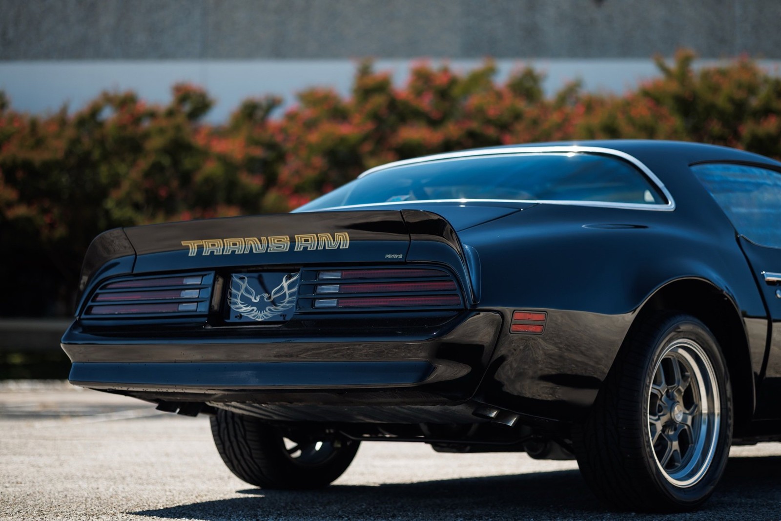 Pontiac-Firebird-1978-2D-Coupe-14
