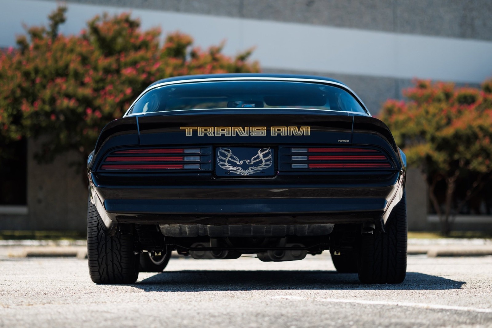 Pontiac-Firebird-1978-2D-Coupe-15