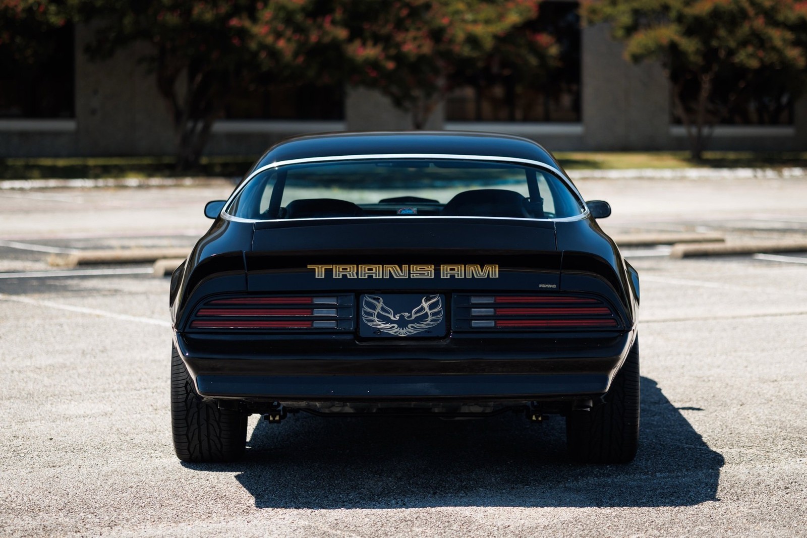 Pontiac-Firebird-1978-2D-Coupe-16