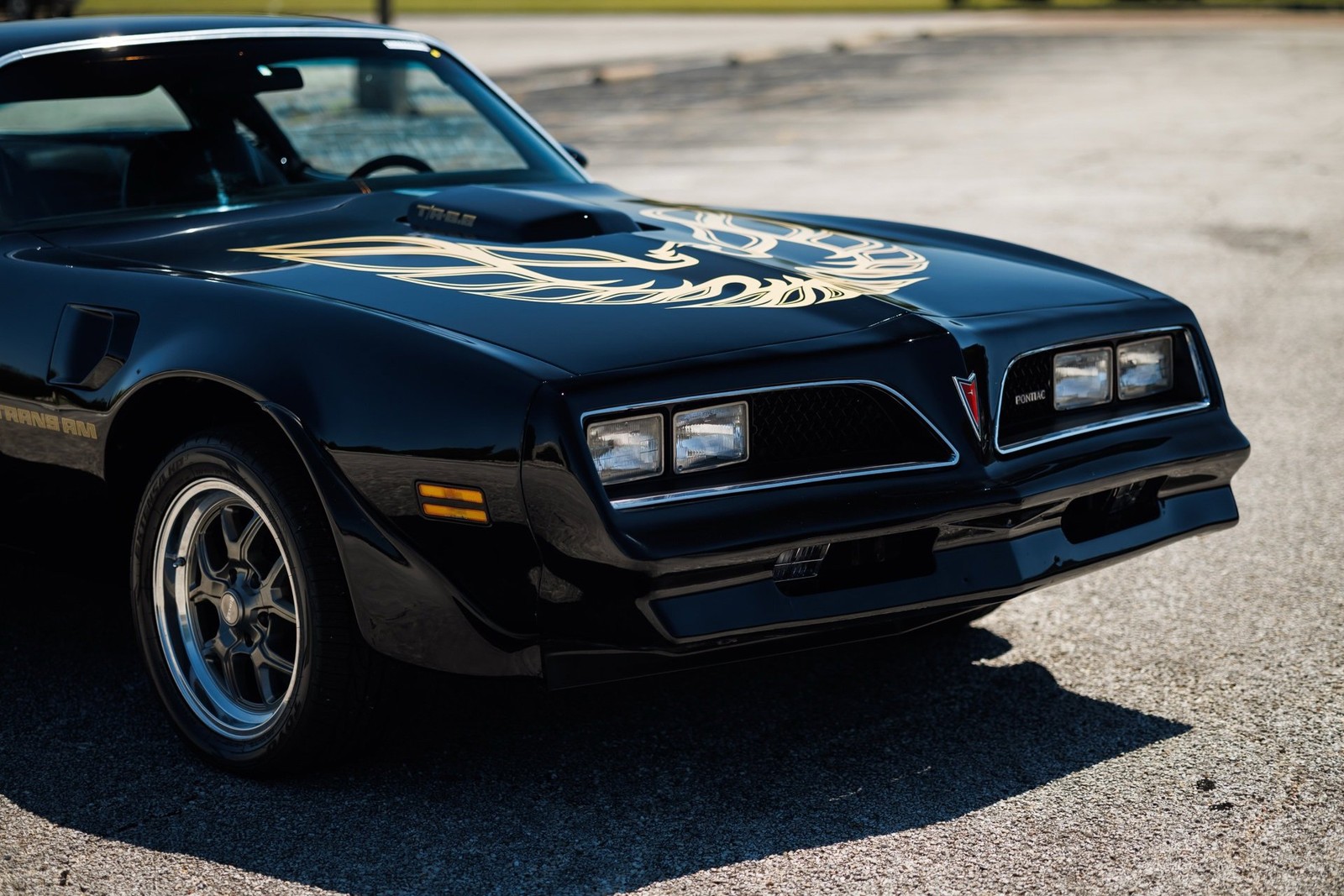 Pontiac-Firebird-1978-2D-Coupe-19