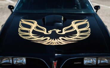 Pontiac-Firebird-1978-2D-Coupe-31