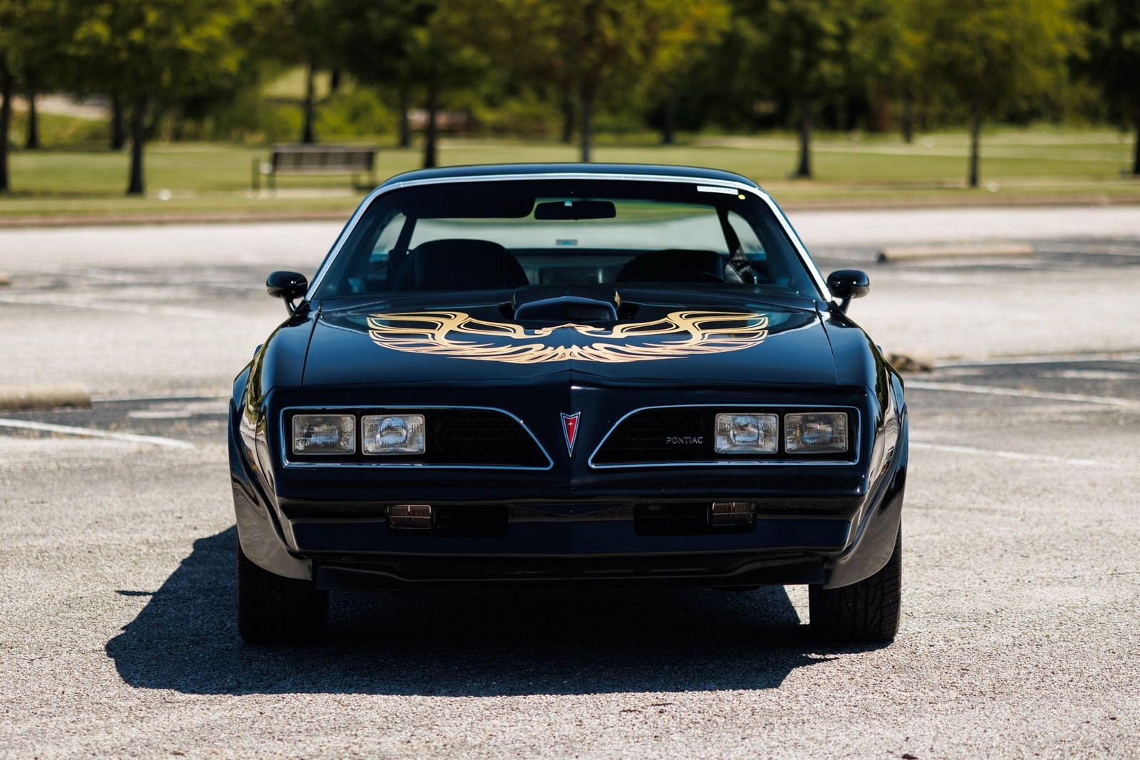 Pontiac-Firebird-1978-2D-Coupe-6