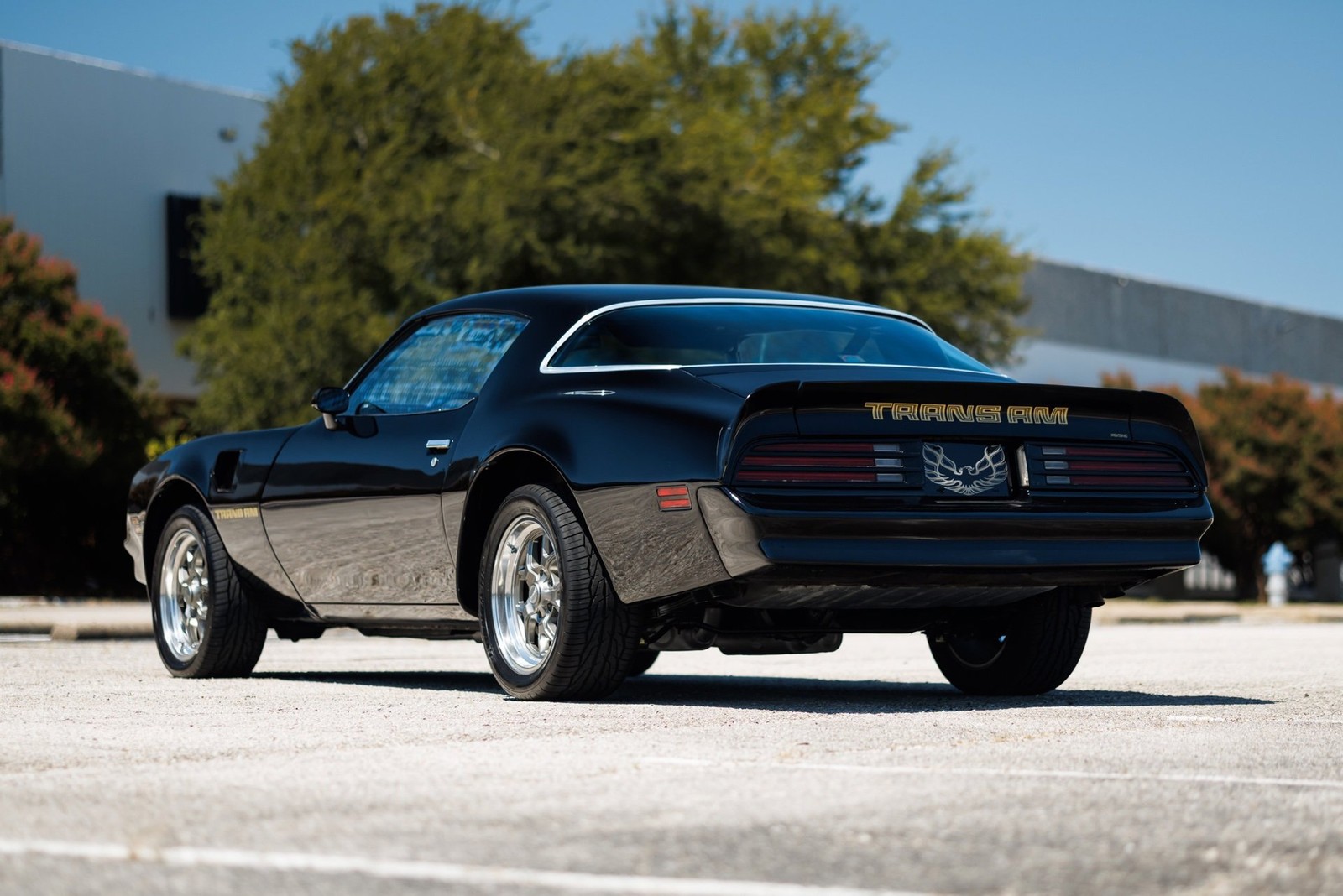Pontiac-Firebird-1978-2D-Coupe-7