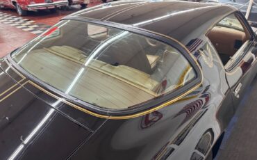 Pontiac-Firebird-1979-16