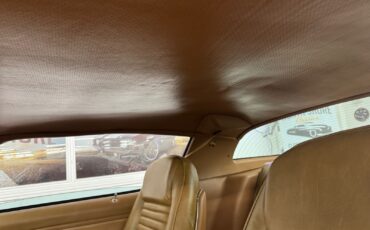 Pontiac-Firebird-1979-38