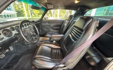 Pontiac-Firebird-1979-Convertible-15