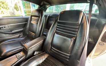 Pontiac-Firebird-1979-Convertible-16