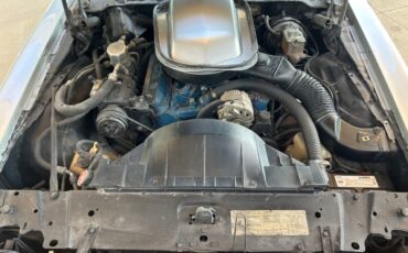 Pontiac-Firebird-1979-Convertible-23