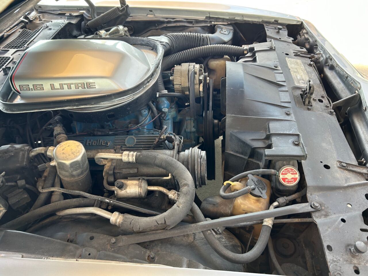 Pontiac-Firebird-1979-Convertible-24