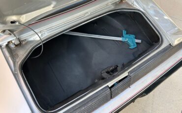 Pontiac-Firebird-1979-Convertible-8