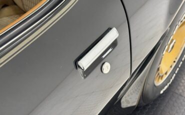 Pontiac-Firebird-1981-Coupe-16