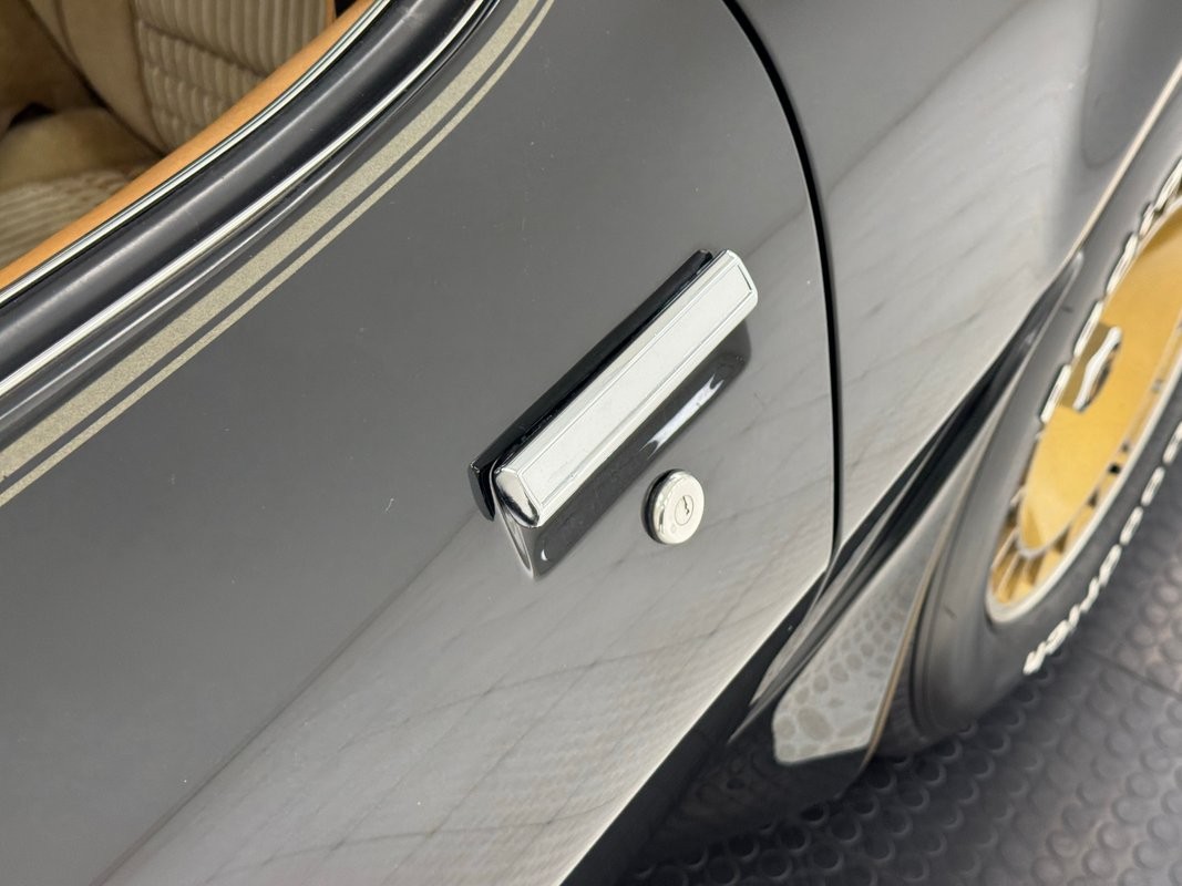 Pontiac-Firebird-1981-Coupe-16