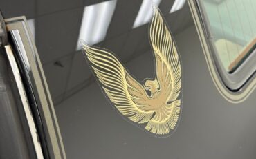 Pontiac-Firebird-1981-Coupe-17