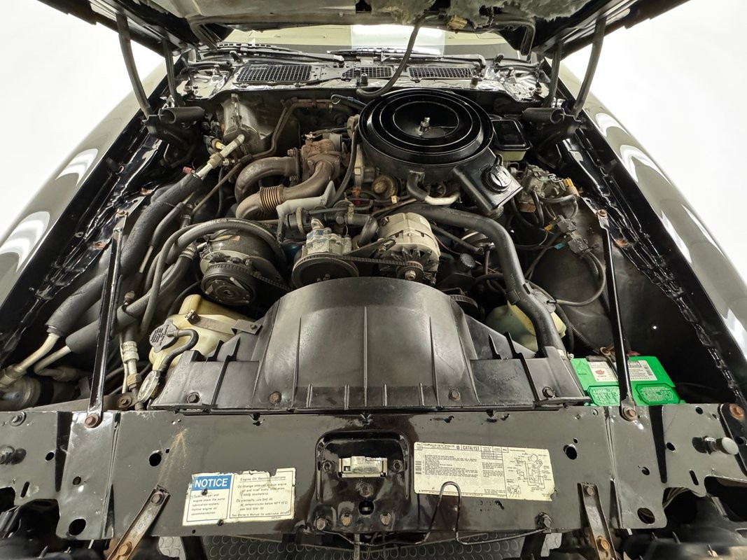 Pontiac-Firebird-1981-Coupe-28