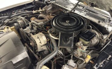 Pontiac-Firebird-1981-Coupe-29