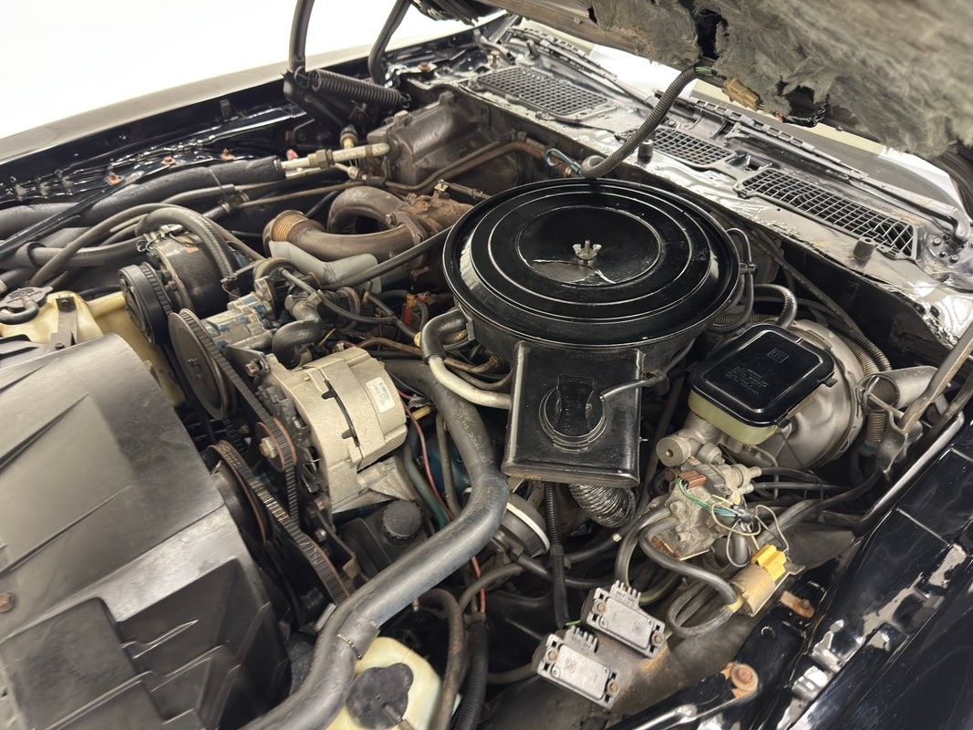 Pontiac-Firebird-1981-Coupe-29